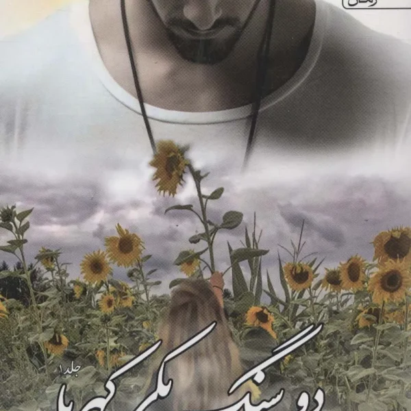 کتاب دو سنگ یکی کهربا (دوره ی 2 جلدی)